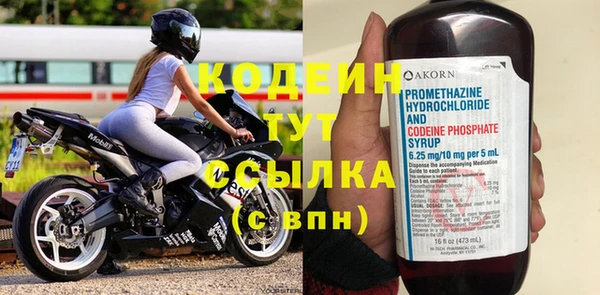 стаф Балахна