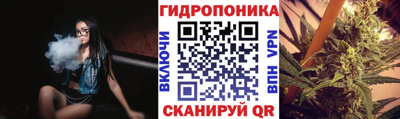 Шишки марихуана сатива Никольское